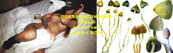 бутират Баксан