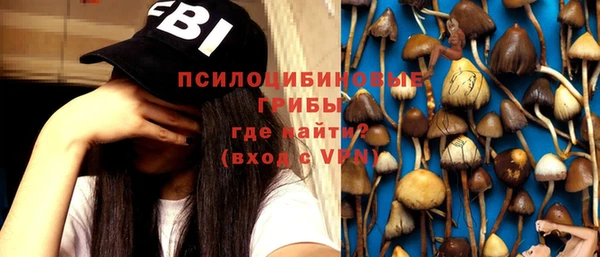 тгк Балахна
