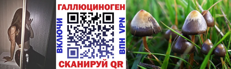 Псилоцибиновые грибы прущие грибы  цена наркотик  ОМГ ОМГ как зайти  darknet формула  Туапсе 